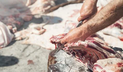 Processing fresh meat. Butcher with a knife in hand separating meat Stock Photos