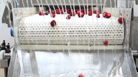 Processing fresh strawberries, fa01 Stock Footage 286968299