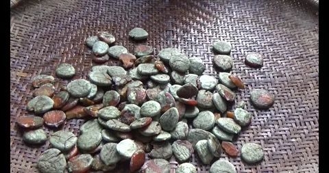 Processing gac seeds into herbal medicine Stock Footage 312854358