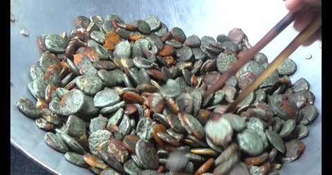 Processing gac seeds into herbal medicine Stock Footage 312855106