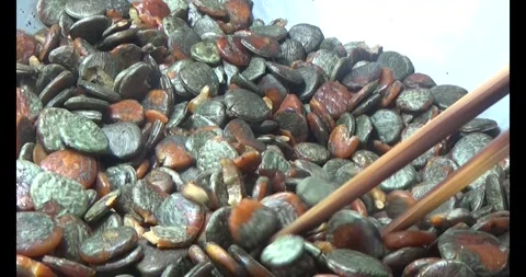 Processing gac seeds into herbal medicine Video stock 312855459