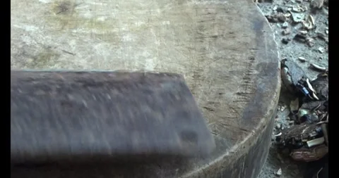 Processing gac seeds into herbal medicine Stock Footage 312859248