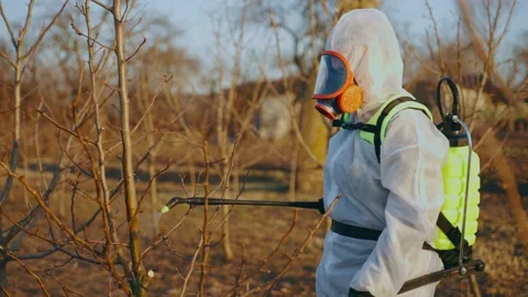 Processing garden trees in spring. Stock Footage 228645945