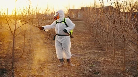 Processing garden trees in spring. Stock Footage 228645954