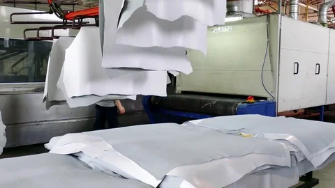 Processing of Genuine Leather in the Leather Industry Stock Footage 77745955