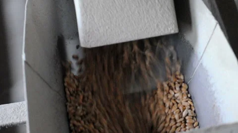 Processing Grain in Granary Stock Footage 49703053