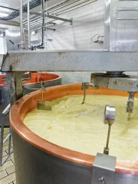 Processing of Gruyere de Comte Cheese in dairy France Stock Photos