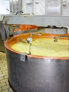 Processing of Gruyere de Comte Cheese dairy in France Stock Photos