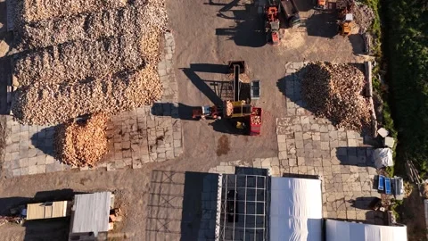 Processing harvested wood. Stock Footage 333016376