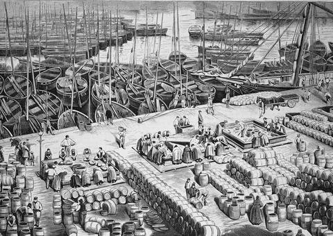 Processing of herrings in the harbour of Wick in Scotland in 1880 the fishermen Stock Illustration