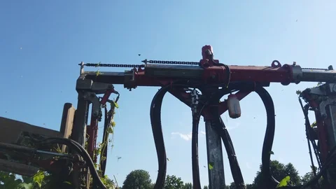Processing of the Lambrusco vine, topping from tractor cabin Video stock 111837413