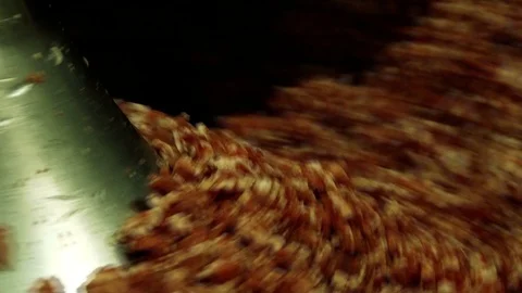 Processing lard or meat in minced meat on a huge meat grinder at a meat factory  Stock-Footage 106227873