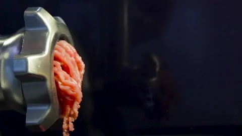 Processing lard or meat into minced meat in a meat grinder at home, close-up Stock Footage 257236342