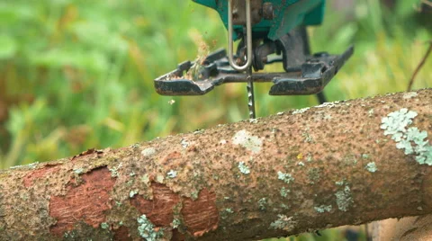 Processing log of wood with electric jigsaw Stock Footage 57218191