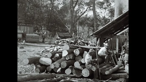Processing Logs At The USA Fort Leavenworth Disciplinary Barracks Stock Footage 94882361