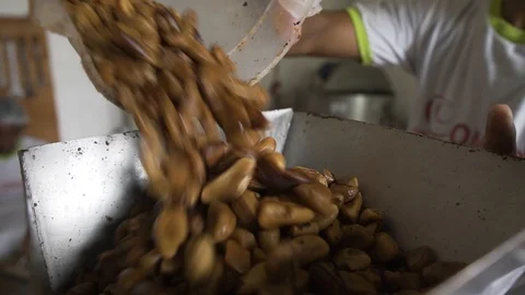 Processing machine and separating raw brazil nuts at amazon brazil organic food Stock Footage 126046819