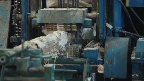 Processing Machine Removes Bark And Cuts Log In Pieces For Lumber Production Stock Footage 234683800