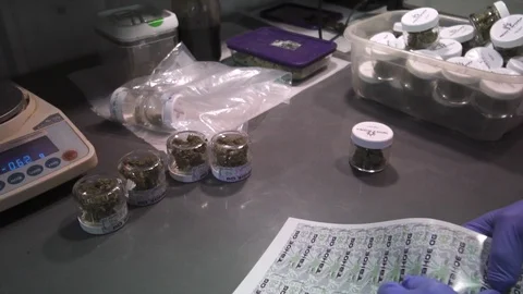 Processing Marijuana Buds Retail Labeling Tahoe OG Jars 動画素材 92187219