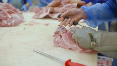 Processing of meat at a meat-packing plant. Food industry Stock-Footage 100532479