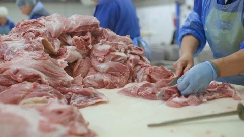 Processing of meat at a meat-packing plant. Food industry Stock-Footage 101440173