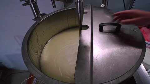 Processing milk into cheese in cheese making. Mechanized system for the producti Stock Footage 227288465