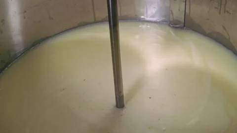 Processing of milk in cheese making. Mechanized system for making cheese in mobi 스톡 동영상 226426360