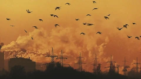 Processing of minerals. Industrial landscape. Fuming chimneys. Heavy industry. Видео 153090367