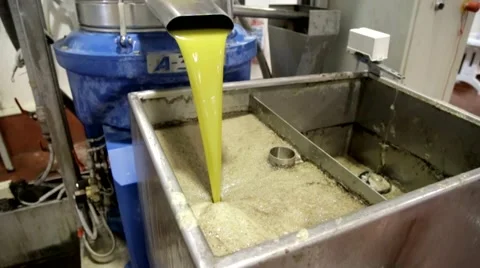 Processing of olives Stock Footage 57675393