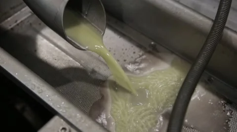 Processing of olives Stock Footage 57675400