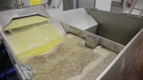 Processing of olives Stock Footage 57675528