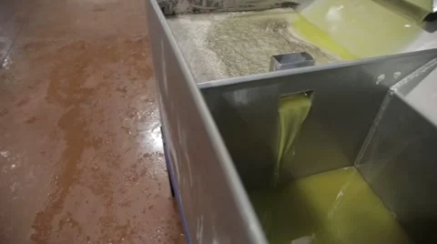 Processing of olives Stock Footage 57675631