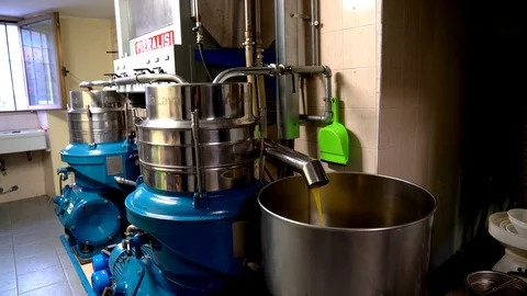 Processing of the olives in a oil mill. Stock Footage 93570040