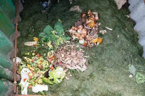 Processing of organic waste, compost preparation Stock Photos