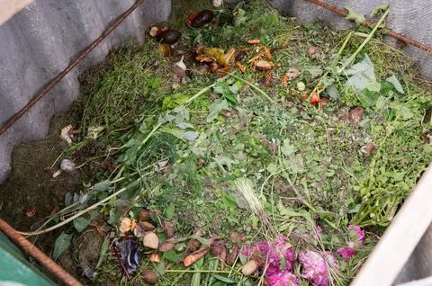 Processing of organic waste, compost preparation Stock Photos