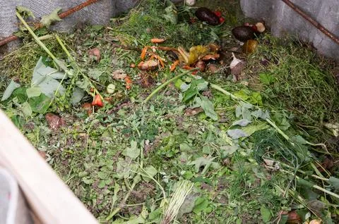 Processing of organic waste, compost preparation Stock Photos