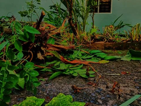 Processing of organic waste Stock Photos