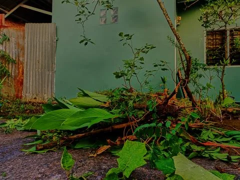 Processing of organic waste Stock Photos