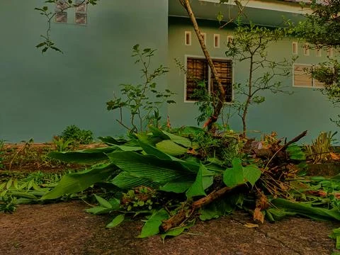 Processing of organic waste Stock Photos