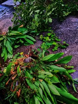 Processing of organic waste Stock Photos