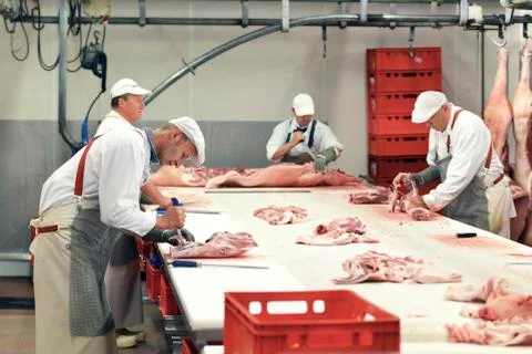 Processing of pig carcasses in a slaughterhouse Stock Photos