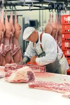 Processing of pig carcasses in a slaughterhouse Stock Photos