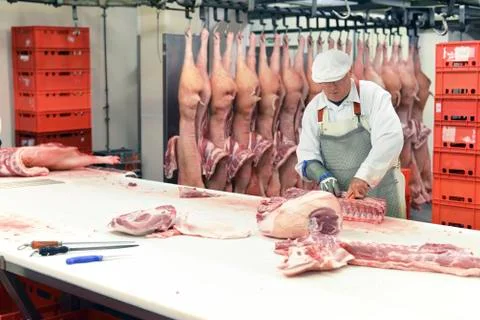 Processing of pig carcasses in a slaughterhouse Stock Photos