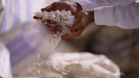 Processing of Plastic Waste into Polypropylene Plastic Seeds Stock Footage 248086643