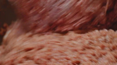 Processing of pork meat minced in a meat grinder Stock Footage 94218777