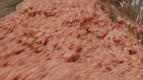 Processing of pork meat minced in a meat grinder. Stock Footage 94218797