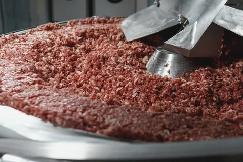 Processing of production minced meat in industrial meat grinder, close up. Stock Photos