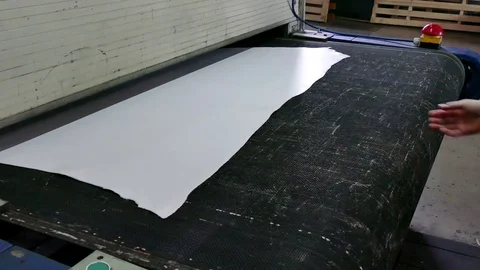 Processing of Raw Leather Stock-Footage 77508695