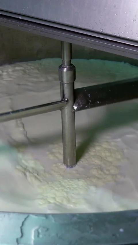 Processing Raw Milk in a Pasteurization Tank in a Dairy Stock Footage 313259035