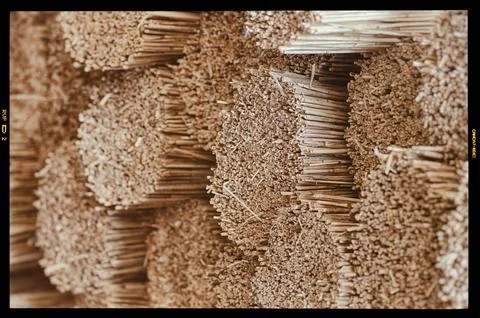 Processing of reed for thatching Stock Photos