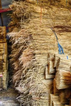 Processing of reed for thatching Stock Photos